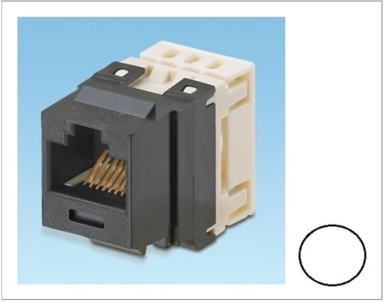 NKP5E88MWH-Q, Panduit Netkey CAT5E, Modular Jack- White (MOQ: 25; Increment of 25)