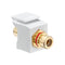 40830-BWR LEVITON CONN RCA FDTHRU RD/WH