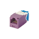 CJ6X88TGVL-24, Panduit Mini-Com |Module,Cat6A,UTP, 8-position, 8-wire, Unvi, Violet,PK24 (MOQ: 24; Increment of 24)