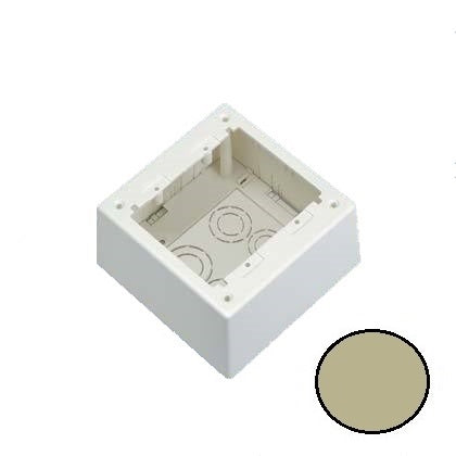 Panduit JBP2DEI Mini-Com Dual Gang, Deep, Power Rated Junction Box, Electric Ivory