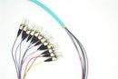 PT12-OM3-ST-3M Fiber Optic Pigtail: 12 Strand ST, Multi-Mode OM3, 3 Meter