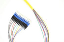 PT12-SM-LC-3M Fiber Optic Pigtail: 12 Strand LC, Single-Mode OS2, 3 Meter