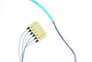 PT6-OM3-SC-3M Fiber Optic Pigtail: 6 Strand SC, Multi-Mode OM3, 3 Meter